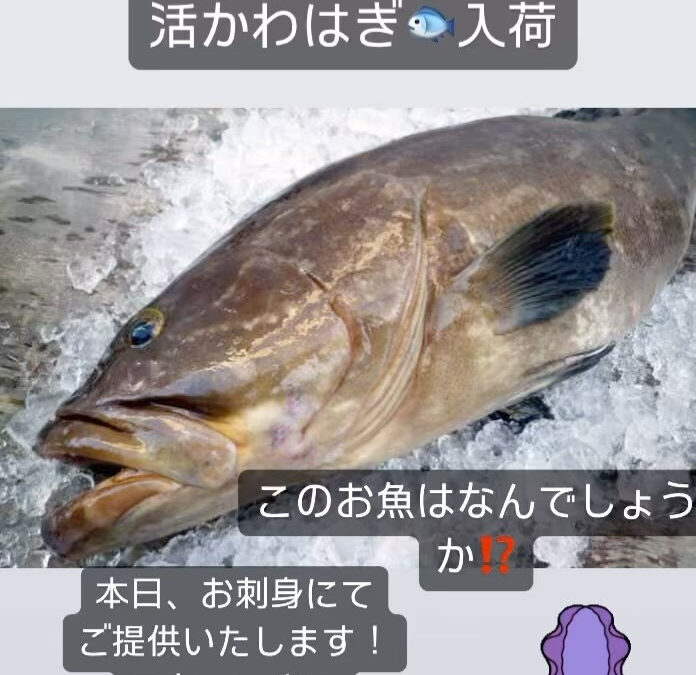 東京都清瀬市の清瀬駅から徒歩5分でお越し頂ける旬菜魚 hir