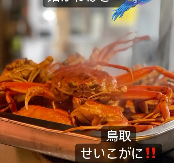 東京都清瀬市の清瀬駅から徒歩5分でお越し頂ける旬菜魚 hir