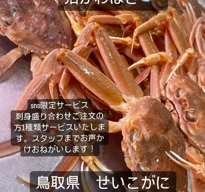 東京都清瀬市の清瀬駅から徒歩5分でお越し頂ける旬菜魚 hir