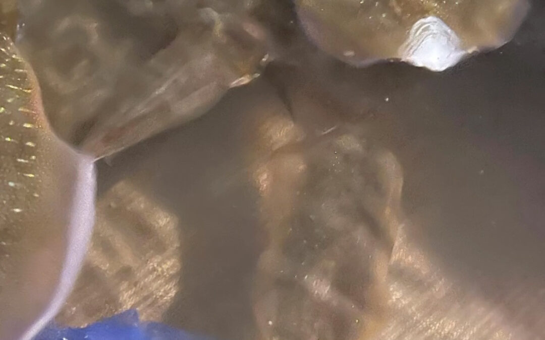 東京都清瀬市の清瀬駅から徒歩5分でお越し頂ける旬菜魚 hir