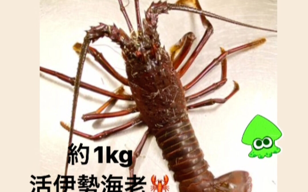 東京都清瀬市の清瀬駅から徒歩5分でお越し頂ける旬菜魚 hir