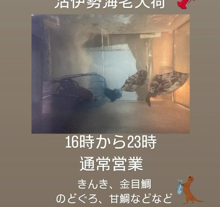 #旬菜魚hiro #魚 #伊勢海老 #かわはぎ