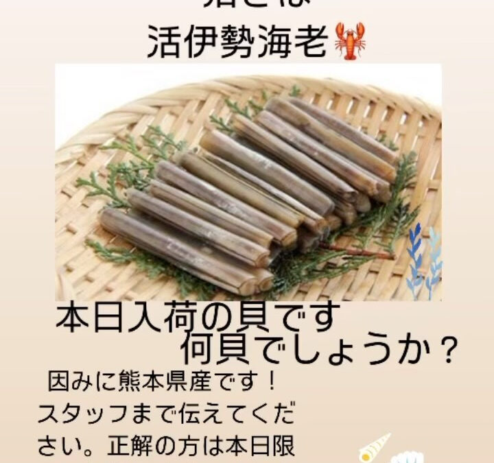 #かわはぎ #鯖 #伊勢海老 #貝 #